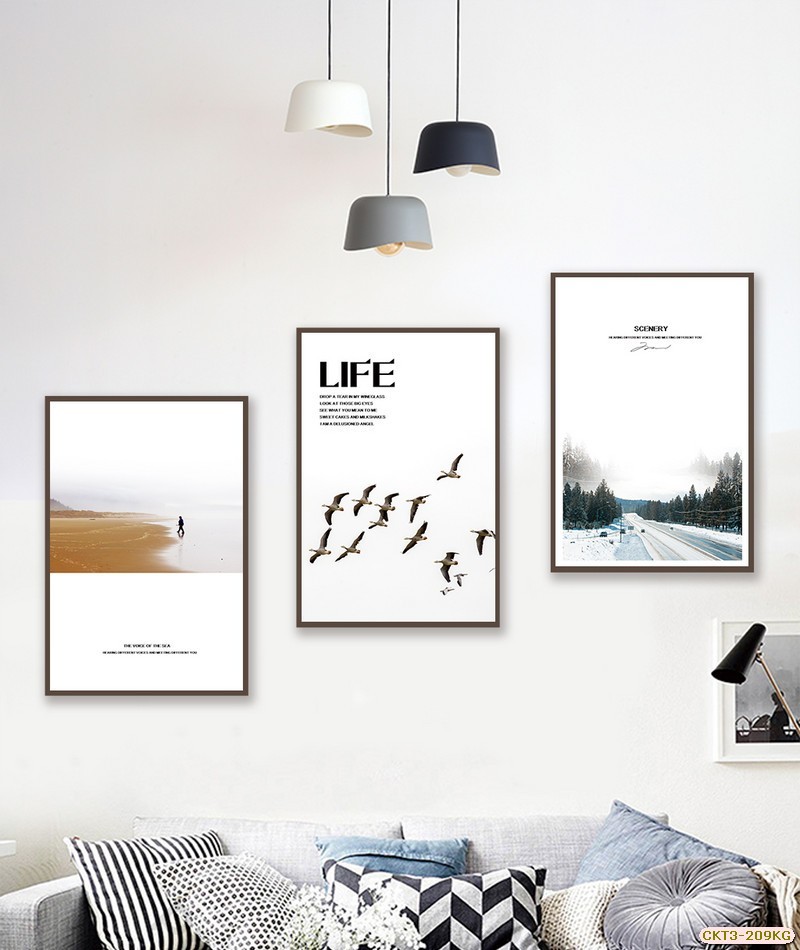 Bãi biển-Con đường  CKT3-209KG